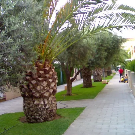 Urbanizacion Els Molins El Conserje